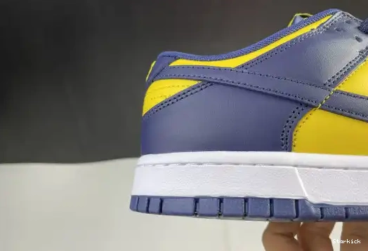 Michigan Nike Dunk DD1391-700 Low 0504